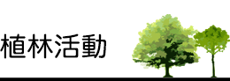 植林活動